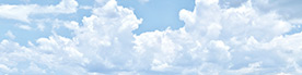 Forecast